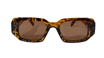 Lentes Carey Not Prada Brown Frame