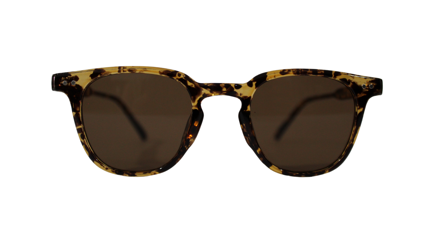 Lentes Carey Martini Brown Frame