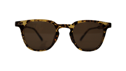 Lentes Carey Martini Brown Frame