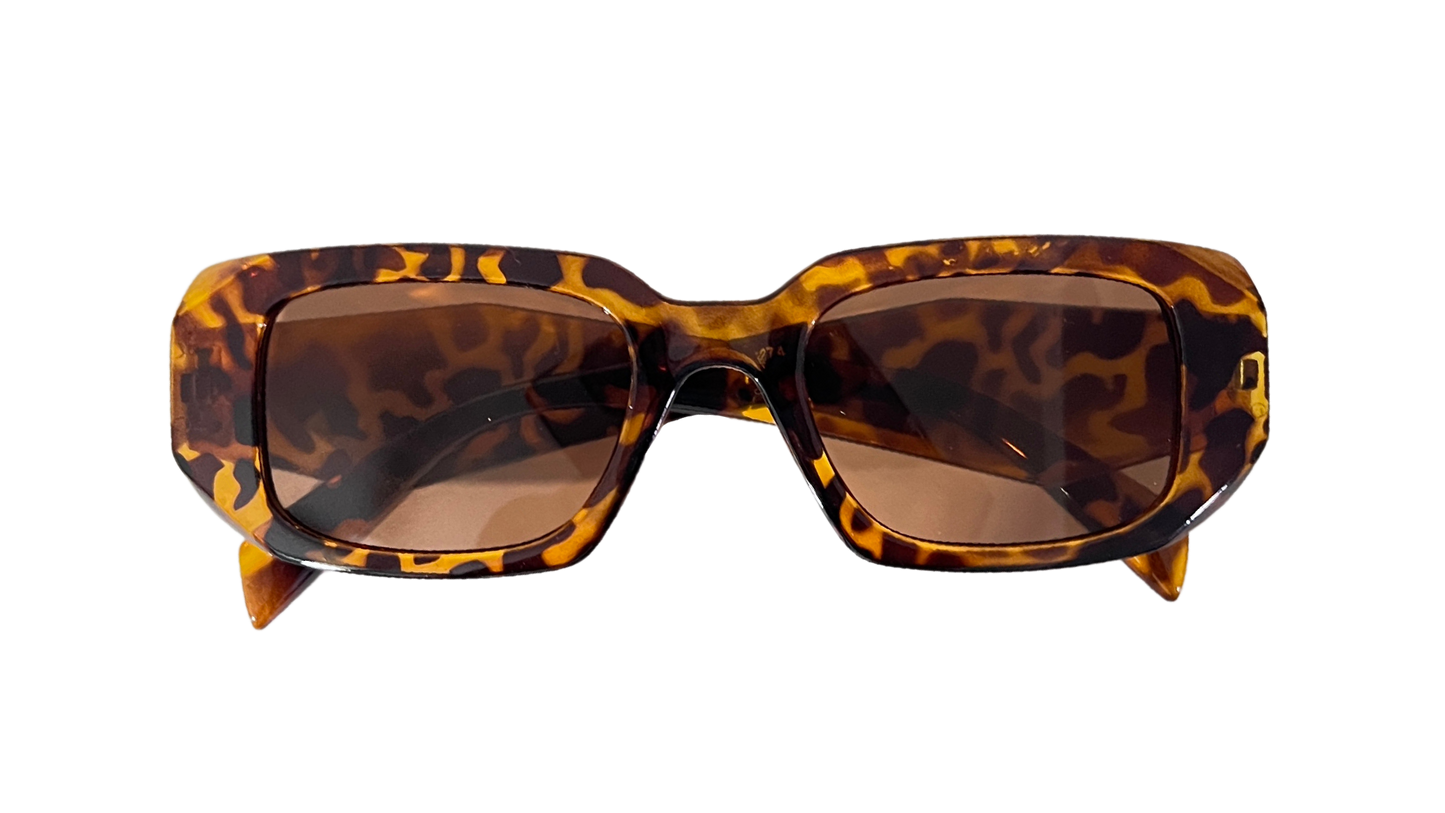 Lentes Carey Not Prada Brown Frame