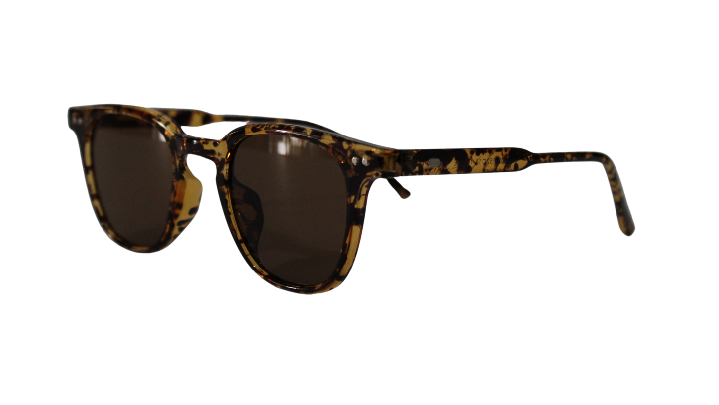 Lentes Carey Martini Brown Frame