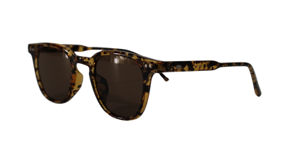 Lentes Carey Martini Brown Frame