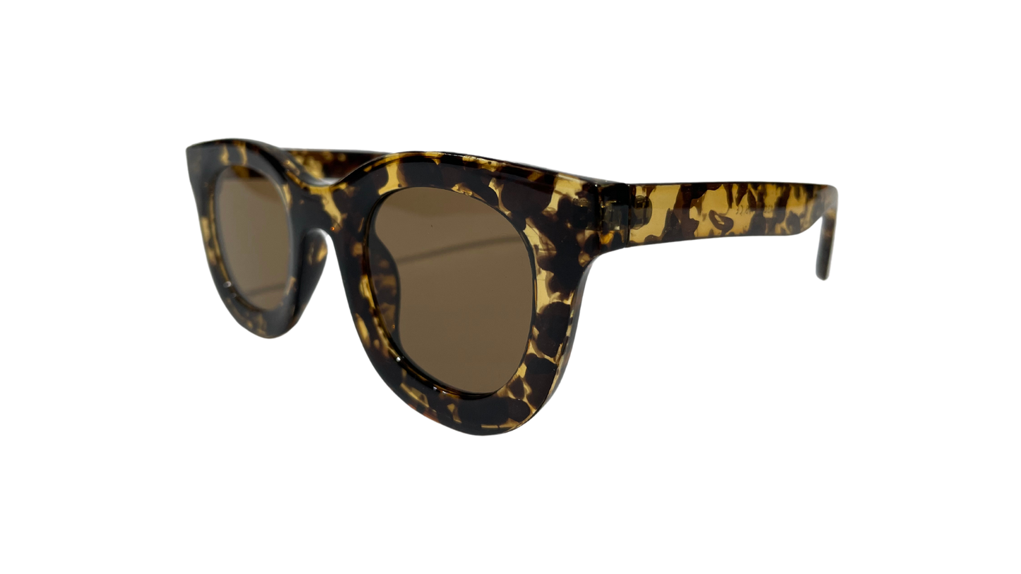 Lentes Carey Sake Bomb Brown Frame