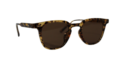 Lentes Carey Martini Brown Frame