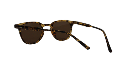 Lentes Carey Martini Brown Frame