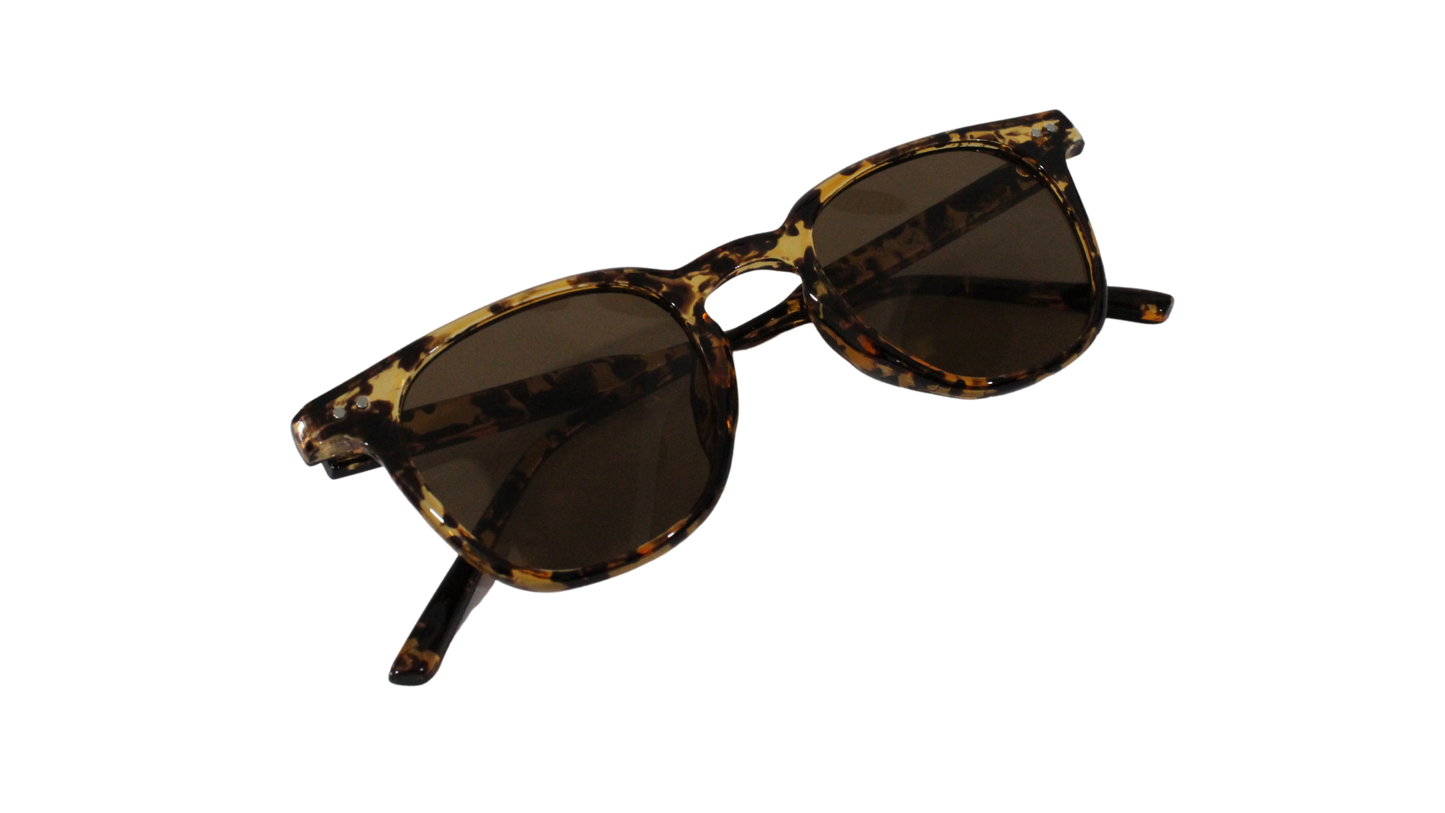 Lentes Carey Martini Brown Frame