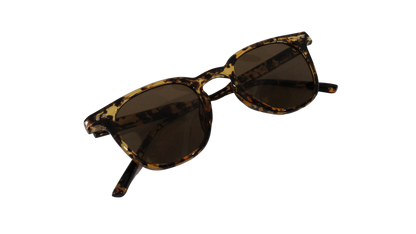 Lentes Carey Martini Brown Frame